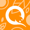 QIWI Кошелек QIWI Кошелек