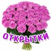Открытки на все случаи жизни Открытки на все случаи жизни