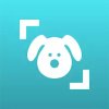Dog Scanner: породы собак по фото