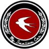 My Swallow Car Beta (Моя ласточка)