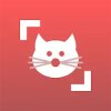 Cat Scanner — порода кошки по фото