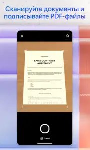 Microsoft 365 (MC Office)