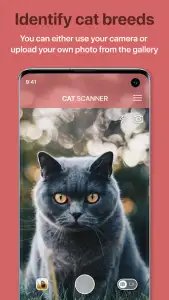Cat Scanner — порода кошки по фото