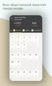 Твой автобус