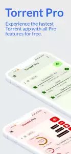 Torrent Pro