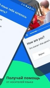 Busuu Premium