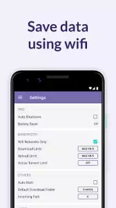 BitTorrent