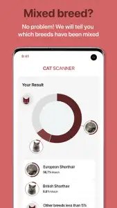 Cat Scanner — порода кошки по фото