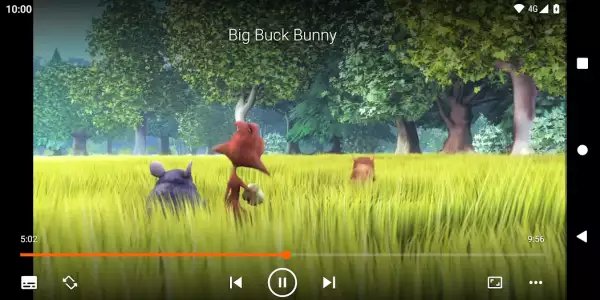 VLC