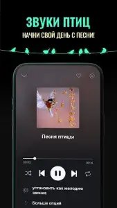 Рингтоны на звонок