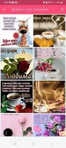 Доброе утро, день, вечер — открытки