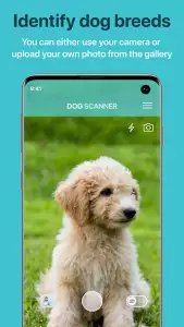 Dog Scanner: породы собак по фото