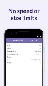 BitTorrent