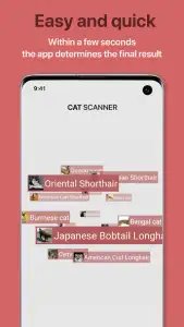 Cat Scanner — порода кошки по фото