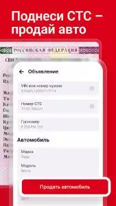 Дром – цены на машины