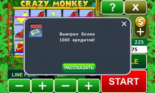 Crazy Monkey slot machine