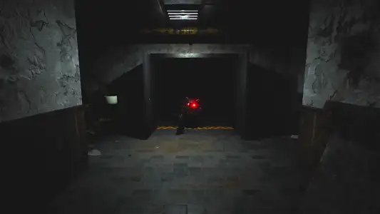 CASE 2: Animatronics survival