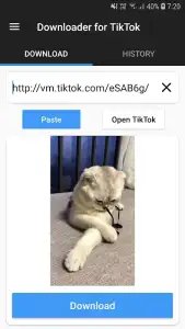 Скачать из ТикТок видео