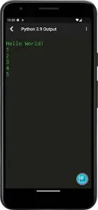 Python Programming Interpreter