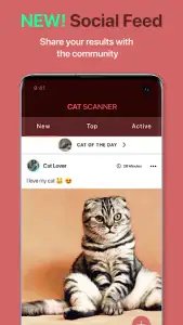 Cat Scanner — порода кошки по фото