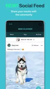 Dog Scanner: породы собак по фото
