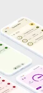 Torrent Pro