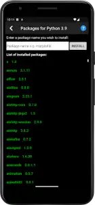 Python Programming Interpreter