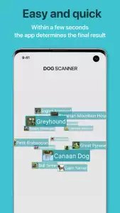 Dog Scanner: породы собак по фото