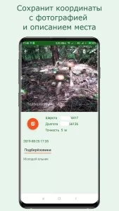 Навигатор грибника Lite