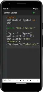 Python Programming Interpreter
