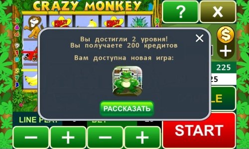Crazy Monkey slot machine