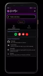 SpotiFlyer для скачивания музыки