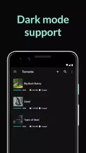 BitTorrent