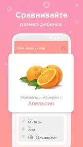 Календарь беременности по дням