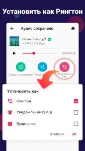 Видео в MP3 конвертер